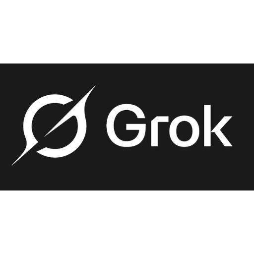 Grok Imagine Video